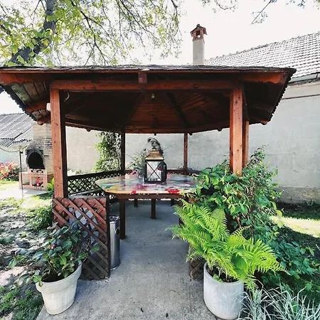 Pensiunea Victoria Guest house