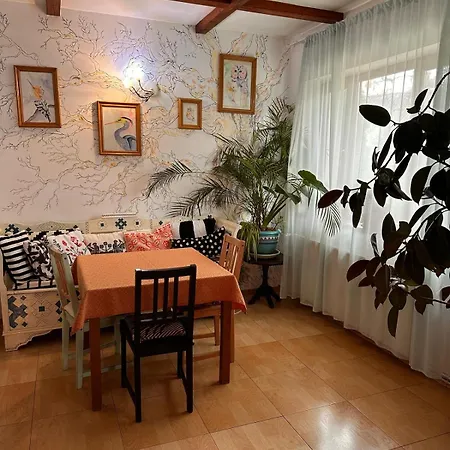 Pensiunea Victoria Guest house Risnov