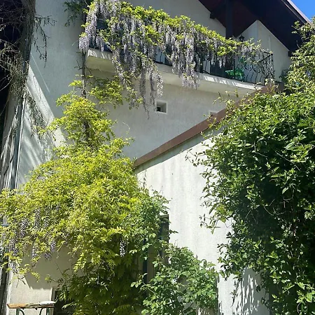 Guest house Pensiunea Victoria Risnov