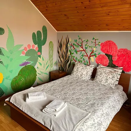 Pensiunea Victoria Guest house 3*