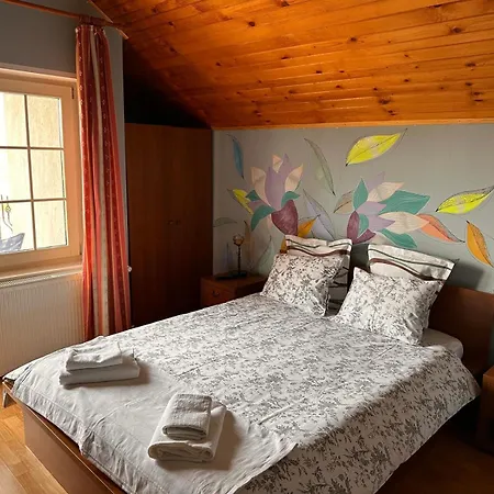 Guest house Pensiunea Victoria Risnov