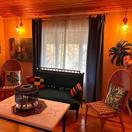 Pensiunea Victoria Guest house Risnov